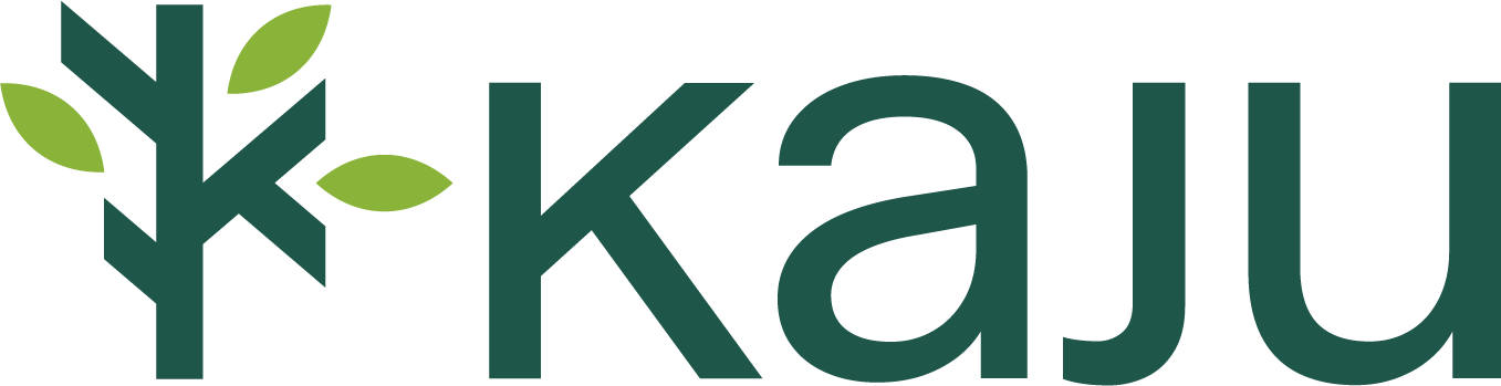 Karina & Jussi Consulting oy